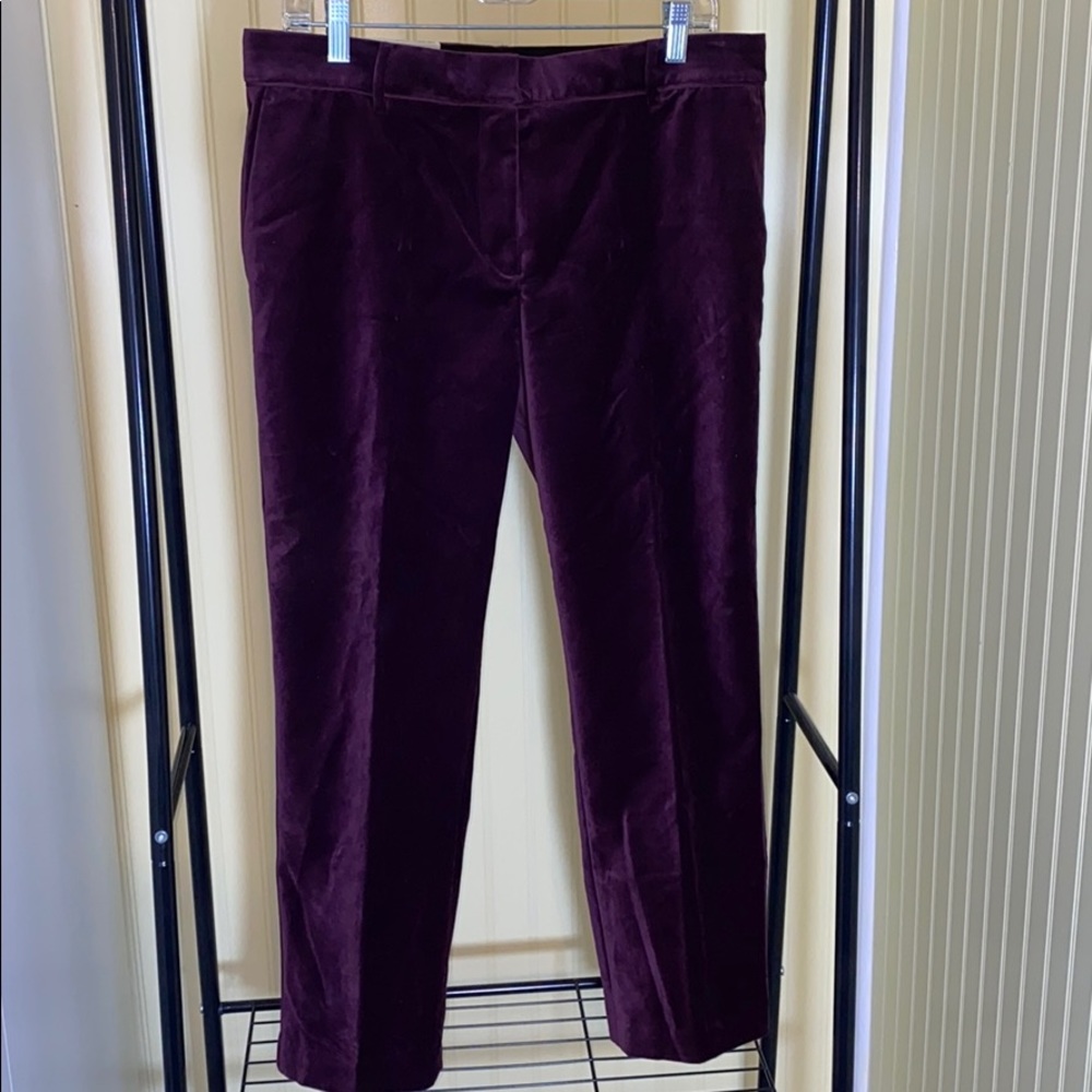 NWT Ann Taylor Devin Fit Trousers